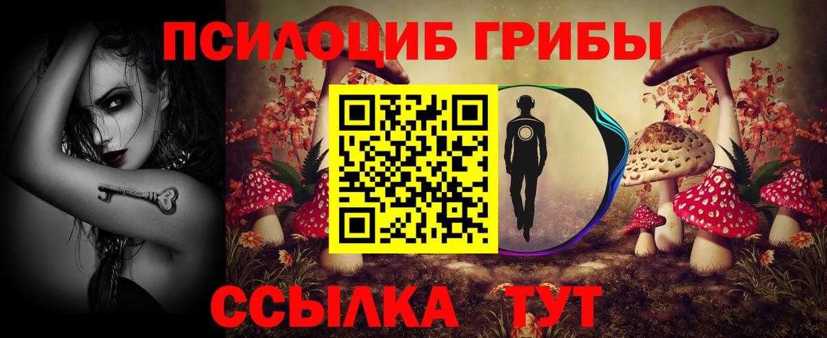 Псилоцибиновые грибы MAGIC MUSHROOMS  Вход с VPN  Псилоцибиновые грибы Psilocybe  Реутов 