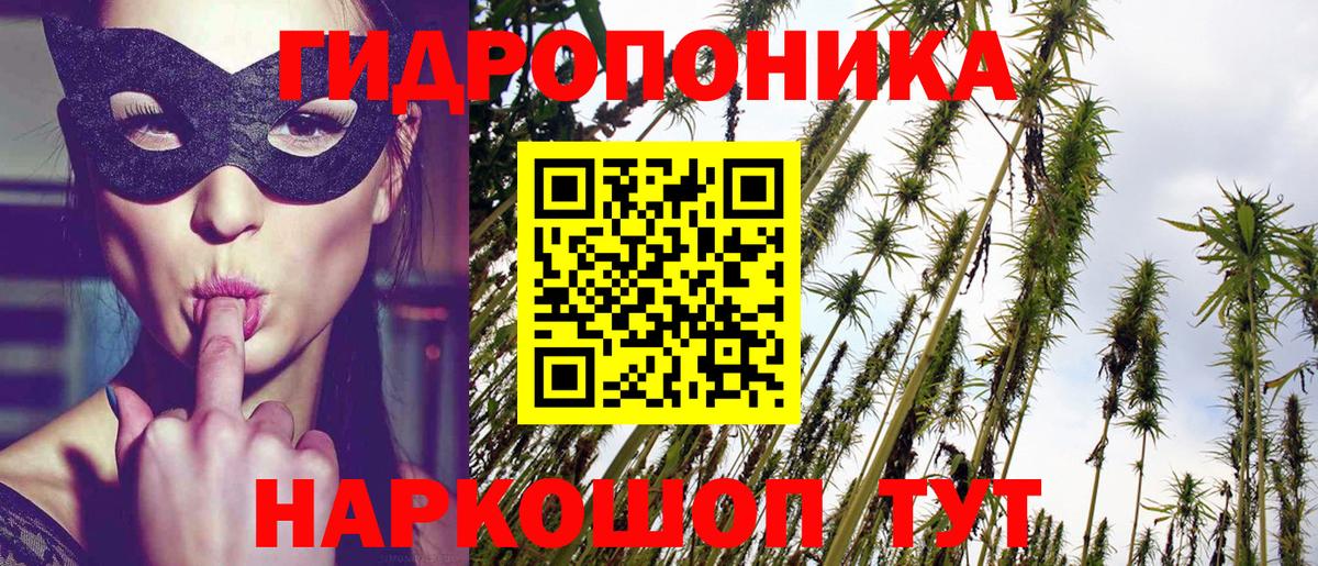 Бошки Шишки семена Реутов